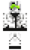 Griiz minecraft skin