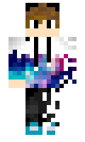 Will11gaming minecraft skin