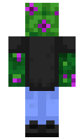 75f28cb6d6bf51 minecraft skin