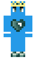 radin minecraft skin