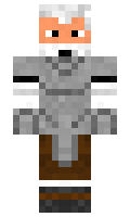 elrokas minecraft skin