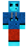 Xriot1731 minecraft skin