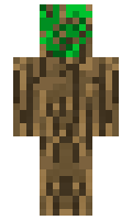 bugzigus minecraft skin