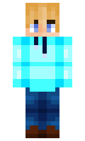 764d425acd8f45 minecraft skin