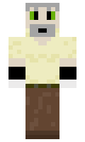 768824063df627 minecraft skin