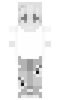 d1scombobulation minecraft skin