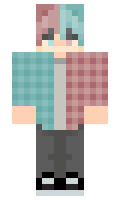 7699043026c605 minecraft skin