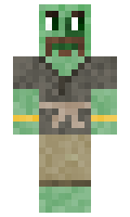 BigFrogInBog minecraft skin