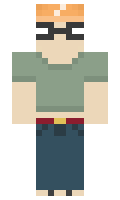401 minecraft skin