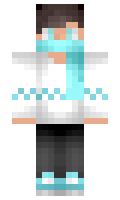 kryp minecraft skin