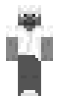 Erdem minecraft skin