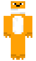 770ed788ed6923 minecraft skin