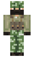 7723a1e2e4b630 minecraft skin