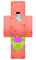 ThePinguMan21 minecraft skin