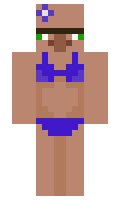 77423f629d358b minecraft skin