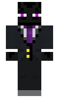 villager263 minecraft skin