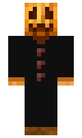 775a4d49803c98 minecraft skin