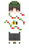 77695a5dcaa875 minecraft skin