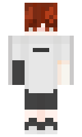 LVDM minecraft skin