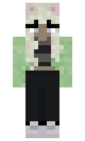 77cf2af88f22d9 minecraft skin