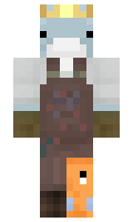 DolphinPresident minecraft skin