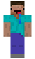 pen minecraft skin