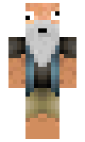 N1LS minecraft skin