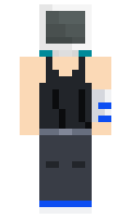77f46904646417 minecraft skin