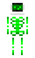 78014649ff7f73 minecraft skin