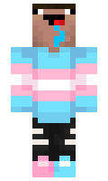 78031297faf3ba minecraft skin