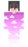 netsecurity minecraft skin