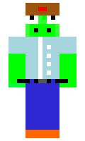 78411111202691 minecraft skin