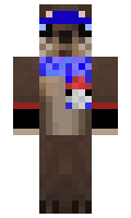 ary minecraft skin
