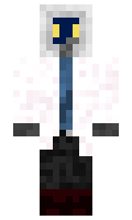 HalfCover minecraft skin