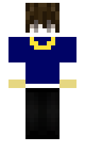 pikapiti229 minecraft skin