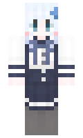 4504 minecraft skin