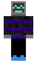 Ztein minecraft skin