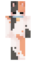 786ddef9a43544 minecraft skin