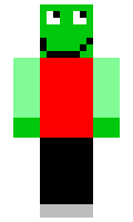 franek212 minecraft skin