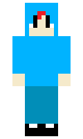 Tilepaper minecraft skin