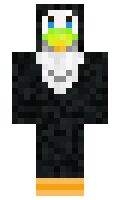 Toucan917 minecraft skin