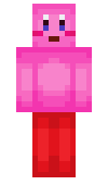 winnerguy minecraft skin