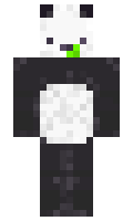 78a2455b49aea4 minecraft skin