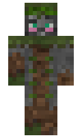 78bb76c4fa861c minecraft skin