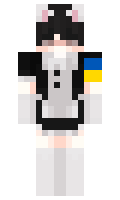 78d8f6a67c4294 minecraft skin