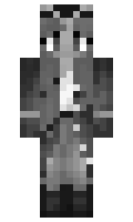 HamilCat1733 minecraft skin
