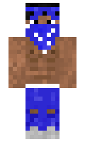 blupoloco minecraft skin