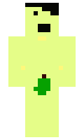 Ruling minecraft skin