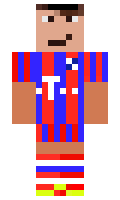 jari123 minecraft skin