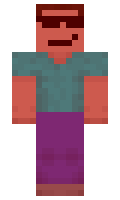 L35 minecraft skin